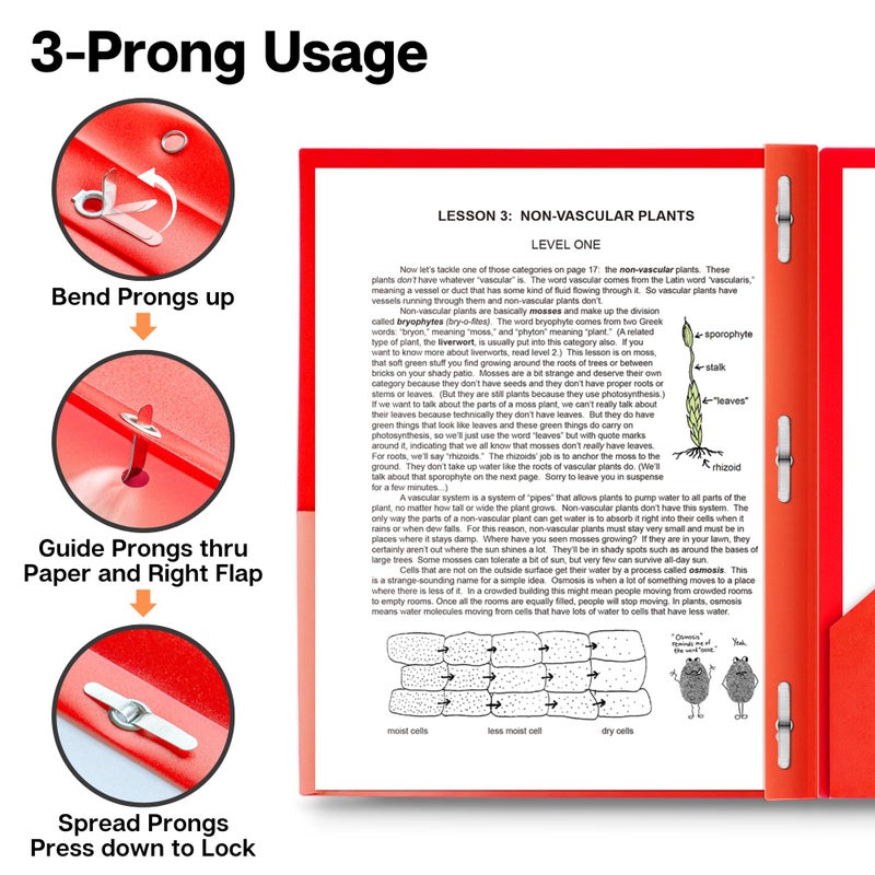 Dunwell Plastic 2-Pocket Folders with 3 Prongs, (2 Pack, Red), Durable Acid-Free Poly is Cleanable, Tear Resistant, 3-Clasp Document Holder, Labels Included - Image 4